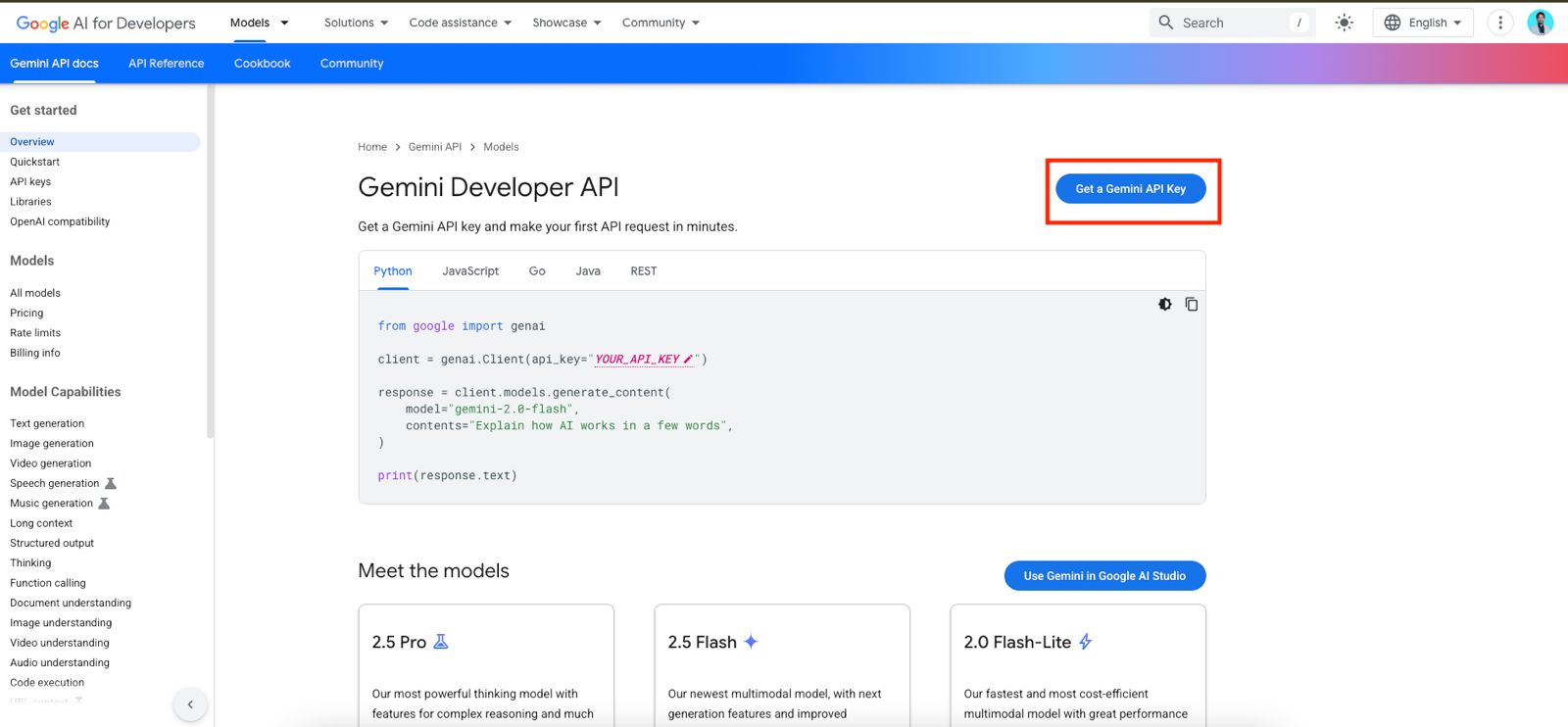 Gemini API