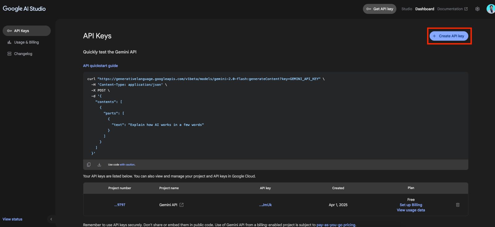 Gemini API